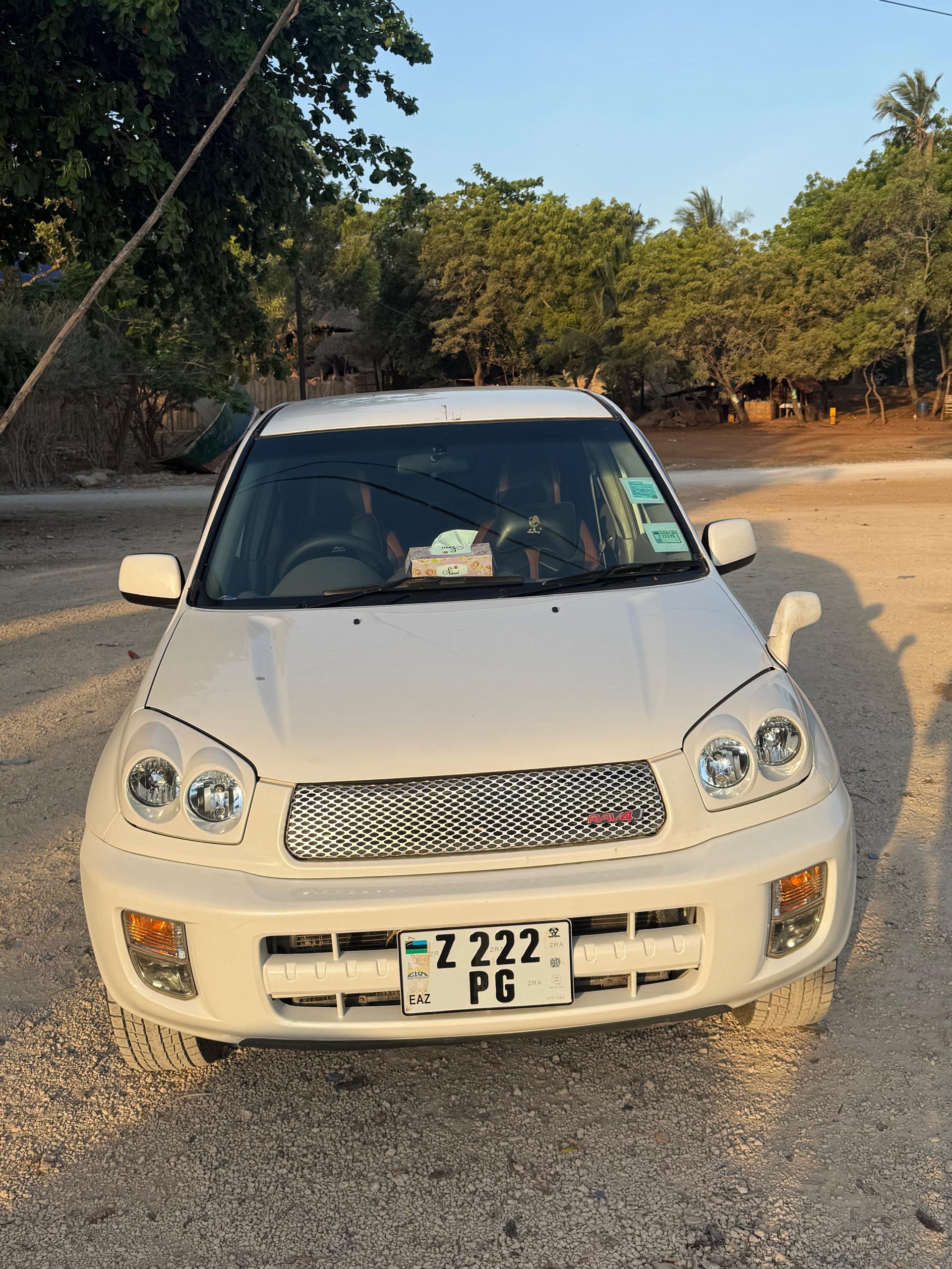 car rental